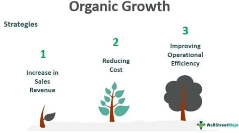 Organic Growth - Meaning, Vs Inorganic Growth, Strategies