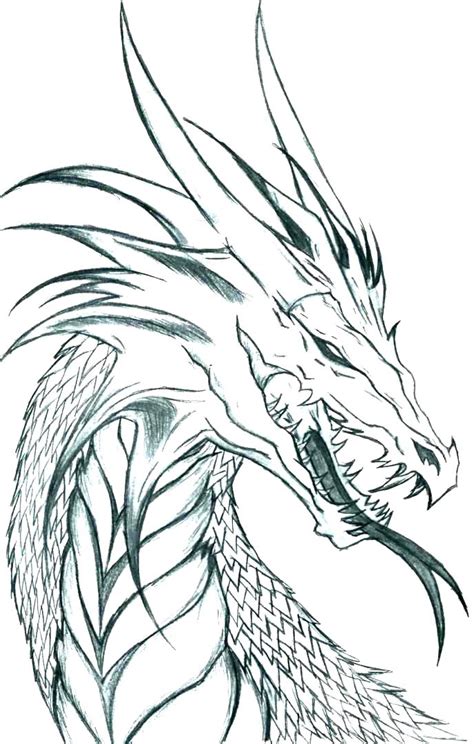 Printable Realistic Dragon Coloring Pages