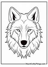 Free Printable Wolf Coloring Pages  sketch template