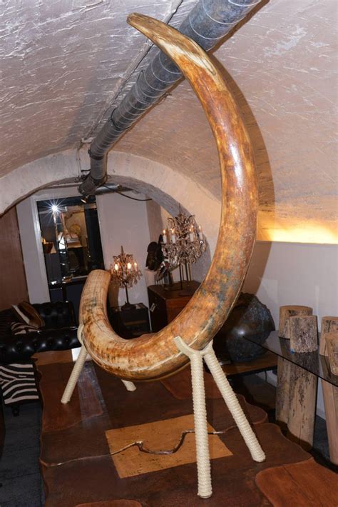 Mammoth Tusk from Siberia at 1stDibs