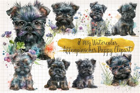 Affenpinscher Puppy Watercolor PNG Graphic by WaterColorArch · Creative Fabrica