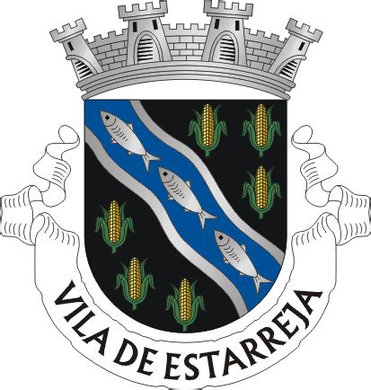 Estarreja - Brasão de Estarreja / Coat of arms (crest) of Estarreja