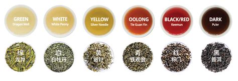 Discover the Different Types of Chinese Tea - includes the Tea Making Process and Benefits of ...