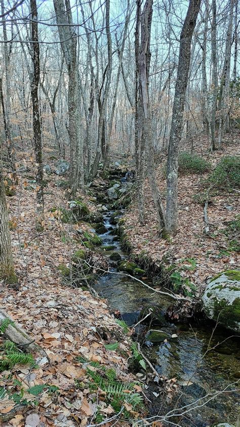 Stepstone Falls Trail - Rhode Island | AllTrails