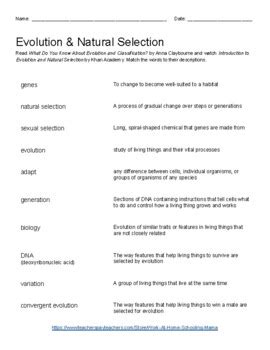 Results for evolution and natural selection worksheets | TPT