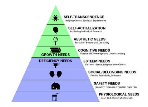 Maslows Hierarchy Of Needs Notes Maslows Hierarchy Of Needs Nursing | Porn Sex Picture