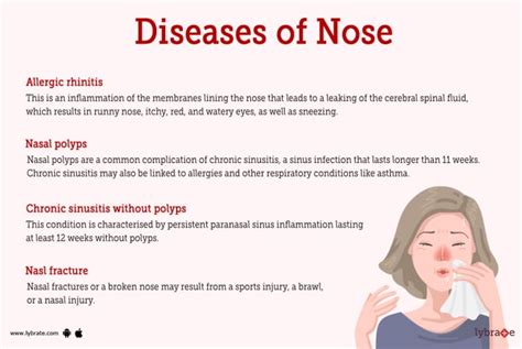 Nose (Human Anatomy): Picture, Functions, Diseases, and Treatments