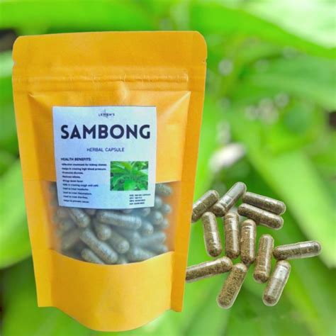 SAMBONG CAPSULES 100mg 100 pcs | Lazada PH