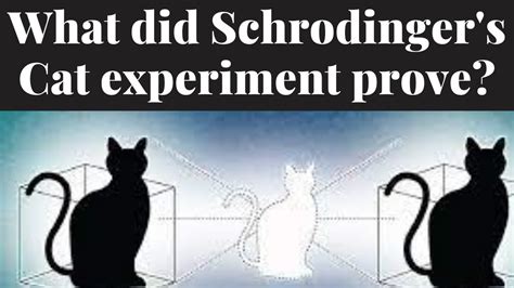 What did Schrodinger's Cat experiment prove? - YouTube