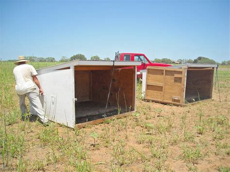 Goat Shelter Plans – What Must You Look Out For When Raising Goats ...