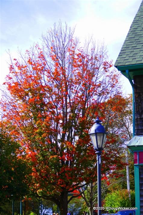 Fall Foliage Cruise — The Fall Colors of Bar Harbor | R. Doug Wicker ...