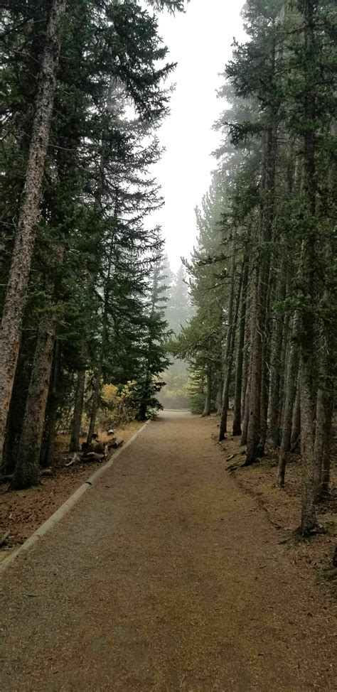 Photos of Echo Lake Trail - Colorado | AllTrails