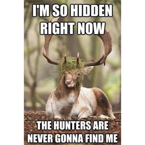 The 20 Best Deer Hunting Memes (So Far) - SayingImages.com