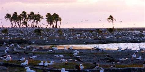 Clipperton Island - Assignment Point