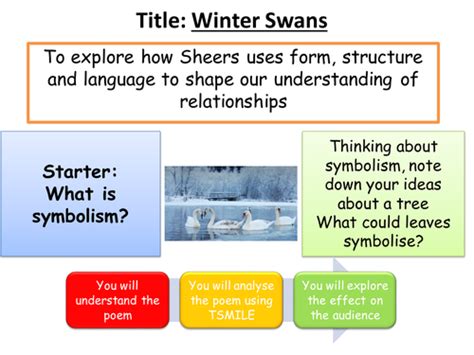 Winter Swans poetry lesson | Teaching Resources