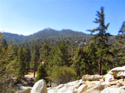 Cheesehead Gardening: Mount San Jacinto State Park