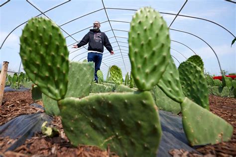 Climate change ratchets up the stress on farmworkers on the front lines of a warming Earth ...