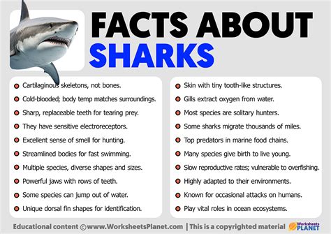 Facts about Sharks