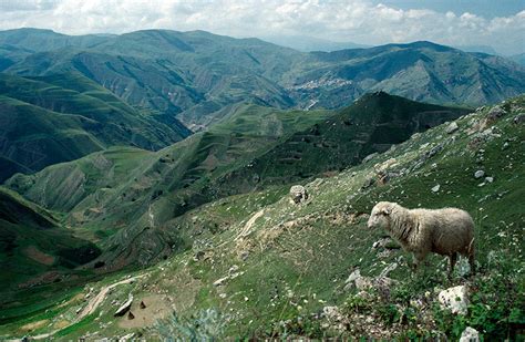 The peoples of Dagestan: A diverse population thriving in the mountains ...