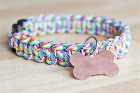 12 Cool DIY Dog Collars - Shelterness