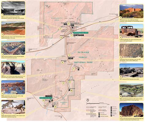 Map of Petrified Forest - Park JunkiePark Junkie