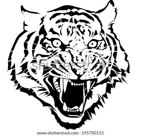 Black White Tiger Head Vector By Stock Vector 195700115 - Shutterstock