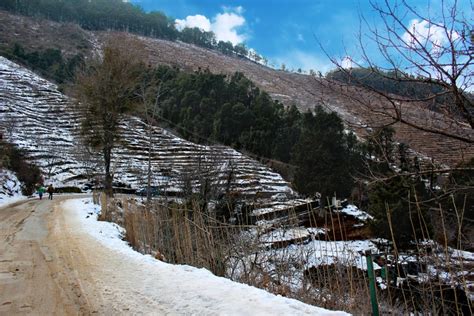 Mukteshwar Snowfall : Best Time to Visit Mukteshwar