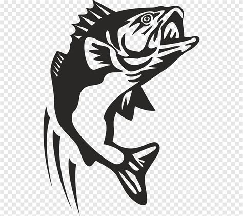 Graphics Drawing Illustration, BASS Fishing, white, mammal png | PNGEgg