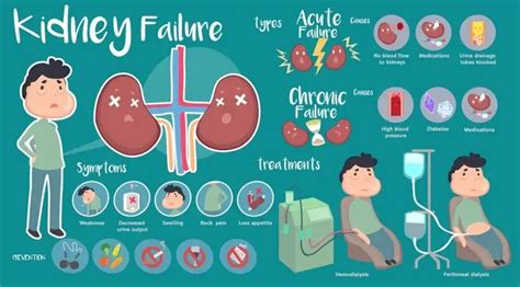 Difference Between Acute and Chronic Kidney Failure | Wockhardt Hospitals