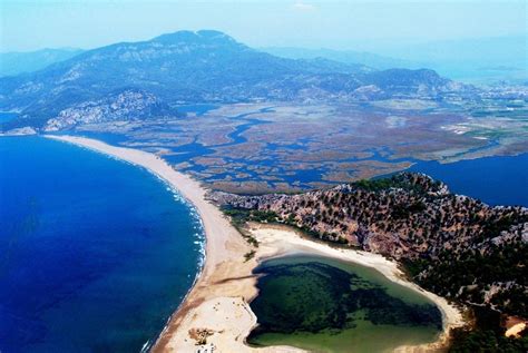 Dalyan, Iztuzu Beach from Didim Altinkum B2B and B2C Daily Tours ...