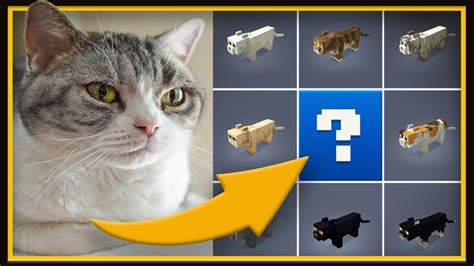 Cat skins minecraft - lasopabuilders