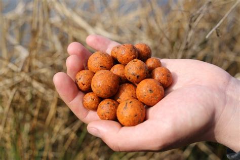 Nieuwe 25mm Boilies bij Originals - Originals - Premium Carp Food