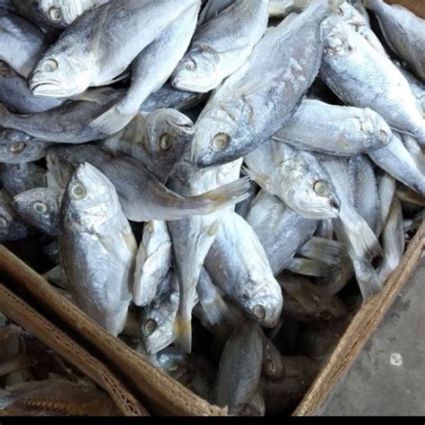 Jual Ikan Asin Kepala Batu Khas Medan 1kg | Shopee Indonesia