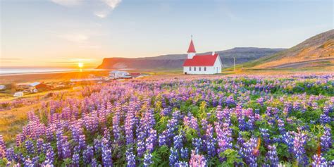 Iceland is the world's safest country