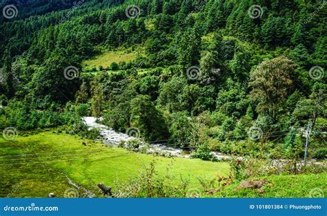 Mountain scenery in Bhutan stock photo. Image of china - 101801384