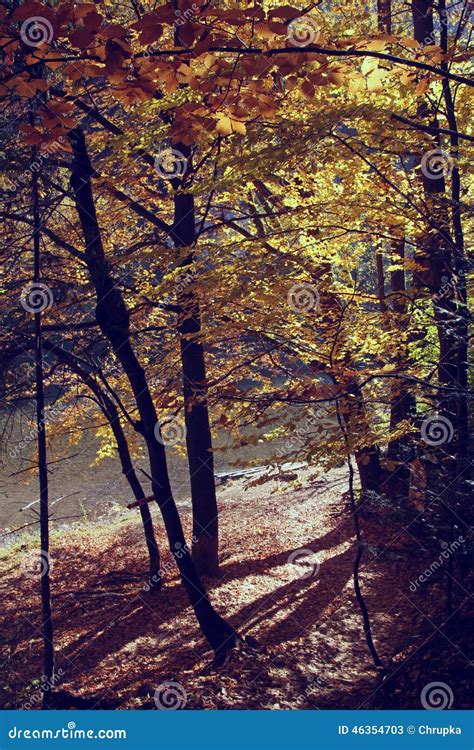 Vintage Photo of Autumn Scenery Stock Image - Image of polish, grunge ...