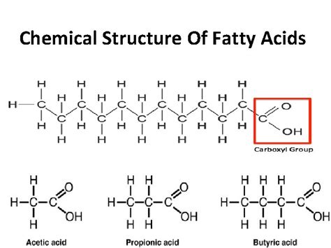 Study Of Derived Lipids Study Of Fatty Acids