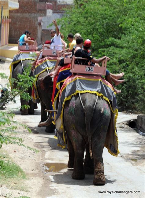 Elephant ride at Jaipur | Elephant ride at Jaipur | Flickr