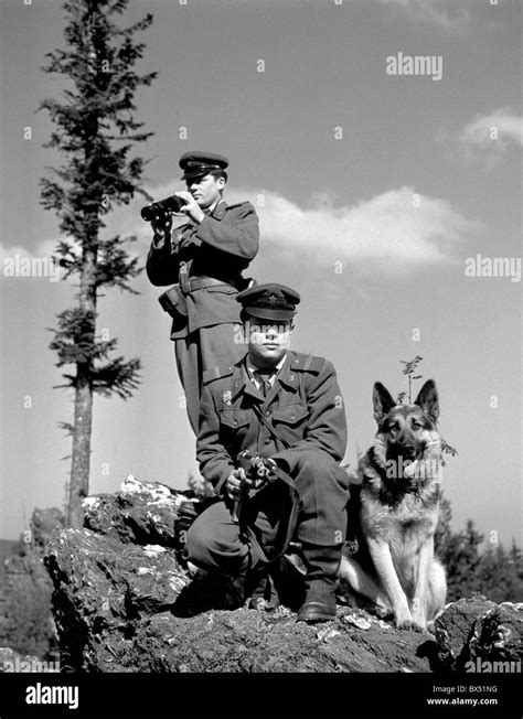 armed border patrol with dog Stock Photo - Alamy