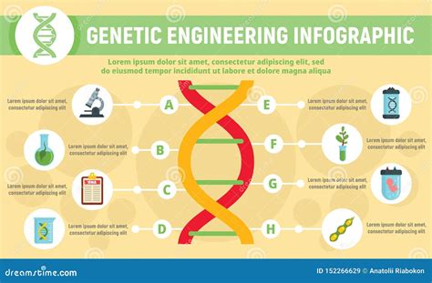 Diagram Of Genetic Engineering