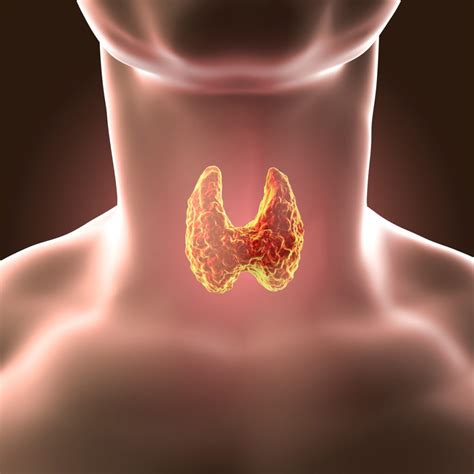 How to treat the thyroid gland cyst? - All information about cysts