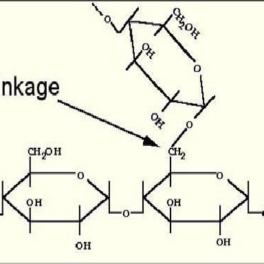 1 Amylose molecule structure | Download Scientific Diagram