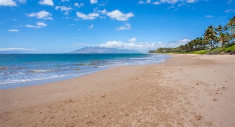 Project in Maalaea Bay to Address Coastal Erosion | MREA