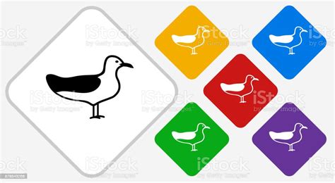 Seagull Color Diamond Vector Icon Stock Illustration - Download Image Now - Beach, Bird, Black ...