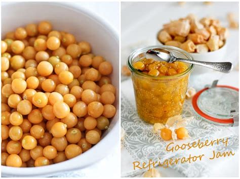 Cape Gooseberry Recipes Jam | Dandk Organizer