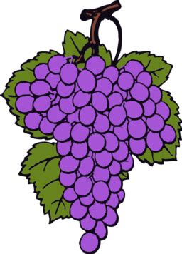 Grape Cluster Clipart | i2Clipart - Royalty Free Public Domain Clipart