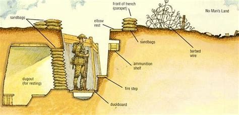 Life in the Trenches — Trench Warfare in WWI | by Hailey Bauer | Medium