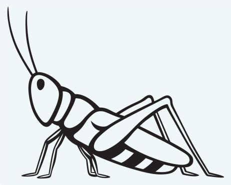 Grasshopper Clipart Black And White - ClipArt Best