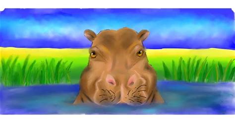 Drawing of Hippo by Lala - Drawize Gallery!