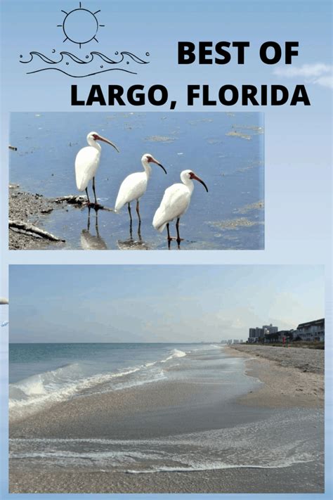 The Best of Largo, Florida | Travel & Lifestyle Blog